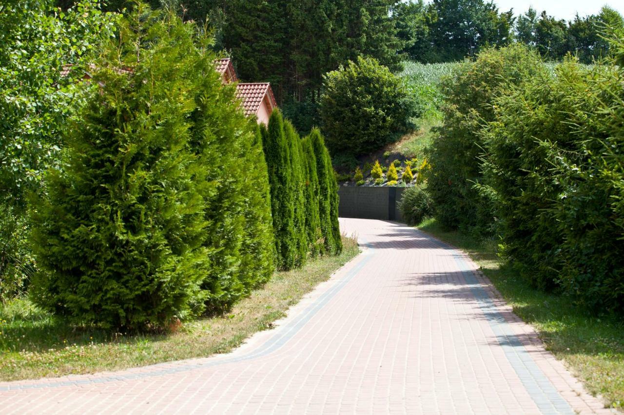 Resort Holiday Natural - Gosciniec Zacisze 흐미엘노 외부 사진